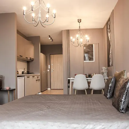 Rome Stylish W Parking Spot And Working Space * Sofia